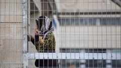 الاحتلال يحكم على الأسيرة عائشة الأفغاني بالسجن لمدة 15 عاما