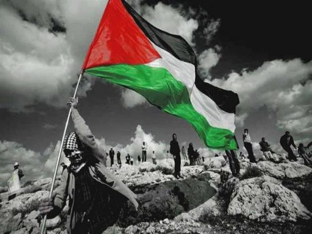 محلل: القضية الفلسطينية تعيش أصعب مراحلها من سياسية إلى انسانية