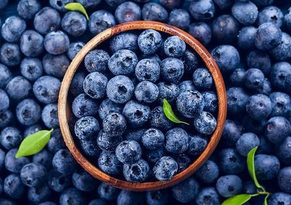 اللون الأزرق في التوت البري قد يقلل من خطر الإصابة بأمراض القلب