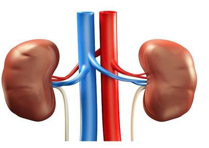أطباء يبتكرون مركبا "سحريا" لعلاج سرطان الكلى