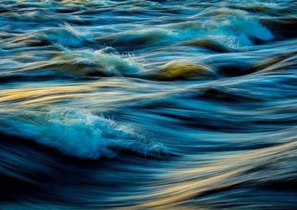 اكتشاف حيوان بحري عمره 20 مليون سنة عن طريق الصدفة