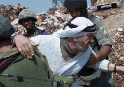 الاحتلال يحتجز ثلاثة رعاة جنوب الخليل