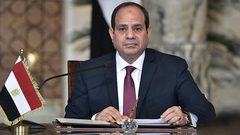 السيسي: القضية الفلسطينية تمثل قضية العرب المركزية الأولى