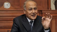 أبو الغيط: القضية الفلسطينية هي قضية سياسية بامتياز