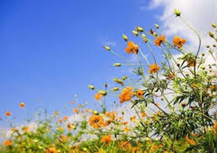 درجات الحرارة أعلى من معدلها بحدود 8 درجات مئوية