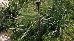 الأغوار الشمالية: مستوطنون يغلقون مئات الدونمات بسياج مكهرب