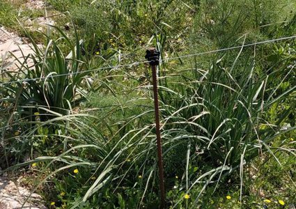 الأغوار الشمالية: مستوطنون يغلقون مئات الدونمات بسياج مكهرب