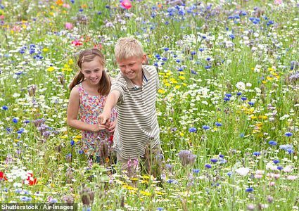 كيف تؤثر الحياة في المناطق الخضراء في الطفولة على الصحة العقلية