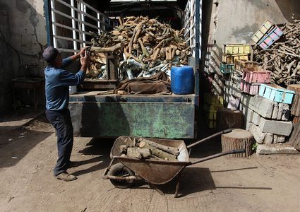 حطابان فلسطينيان يقطعان ويجهزان حطب الوقود للبيع وإنتاج الفحم في ورشة ، مدينة غزة ، في 26 فبراير 2019.