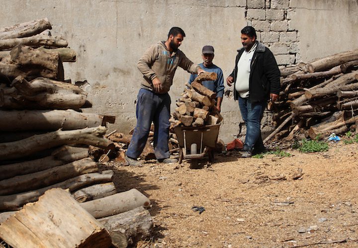 حطابان فلسطينيان يقطعان ويجهزان حطب الوقود للبيع وإنتاج الفحم في ورشة ، مدينة غزة ، في 26 فبراير 2019.