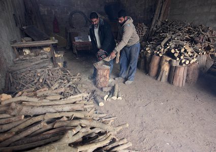 حطابان من غزة يقطعان الخشب للبيع وانتاج الفحم