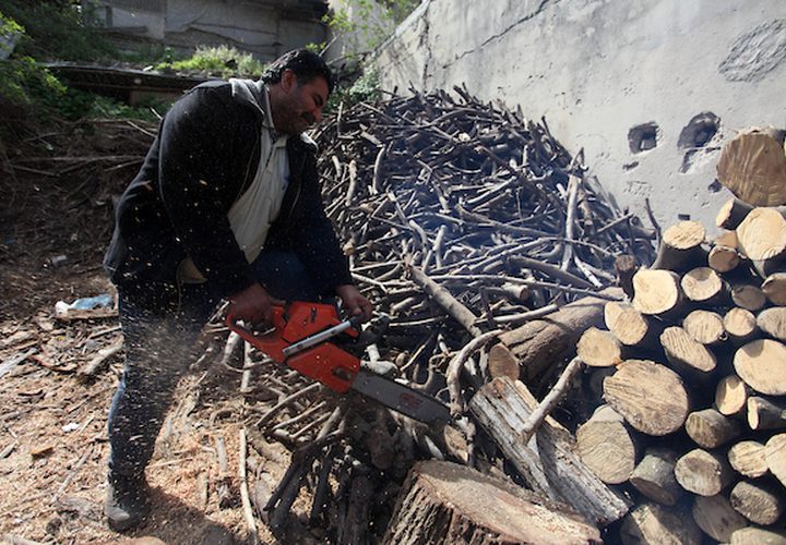 حطابان فلسطينيان يقطعان ويجهزان حطب الوقود للبيع وإنتاج الفحم في ورشة ، مدينة غزة ، في 26 فبراير 2019.