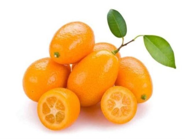 فواكه غريبة ذات قيمة غذائية عالية