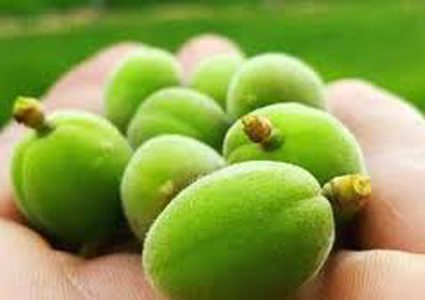 أهمية تناول اللوز الأخضر لصحة الجسم