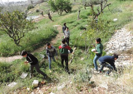 "البيئة" ترد على مغالطات الإعلام العبري