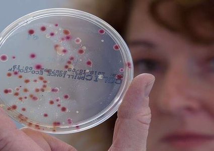 اكتشاف كائنات تنمو وتتكاثر وهي "ميتة"