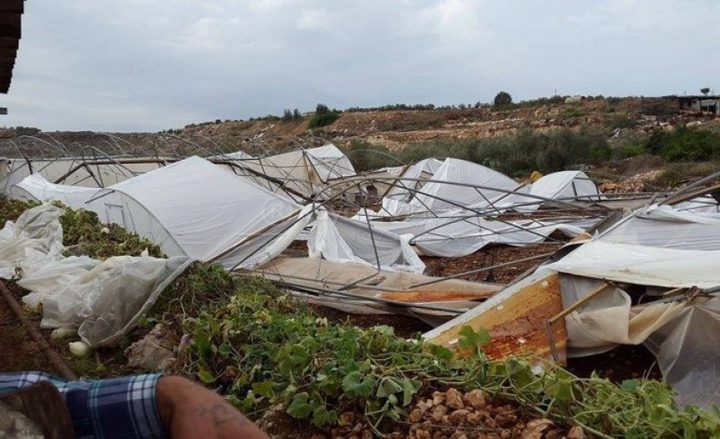 تحويل 1.5 مليون دولار للمنشآت الصناعية والدفيئات الزراعية