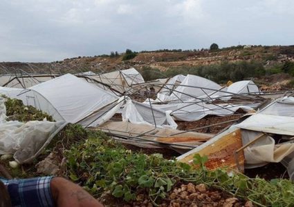 تحويل 1.5 مليون دولار للمنشآت الصناعية والدفيئات الزراعية