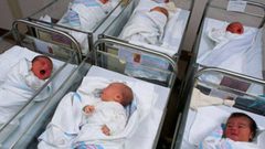 ديموغرافياً.. غزة في مركز الكارثة