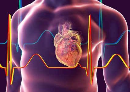 كل ما تريد معرفته عن ارتخاء صمام القلب