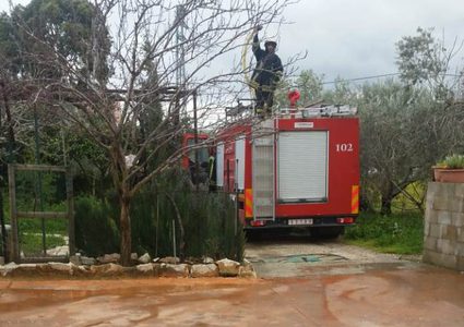 حصيلة العاصفة في محافظات الضفة