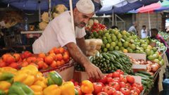 إنخفاض طفيف في أسعار المنتج خلال كانون ثاني الماضي