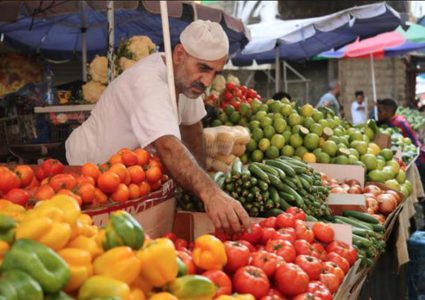 إنخفاض طفيف في أسعار المنتج خلال كانون ثاني الماضي