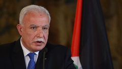 المالكي يطلع وزيرة خارجية مالي على المستجدات الفلسطينية