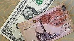استطلاع يتوقع تراجع العملة المصرية أمام الدولار إلى 18 جنيها