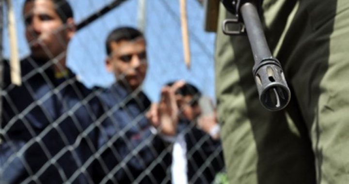 أبو بكر: نرحب بأي صفقة تبادل لتحرير كافة الأسرى