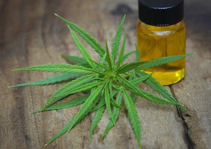 دراسة: أدوية الماريجوانا فعالة وآمنة الاستخدام بالنسبة لكبار السن