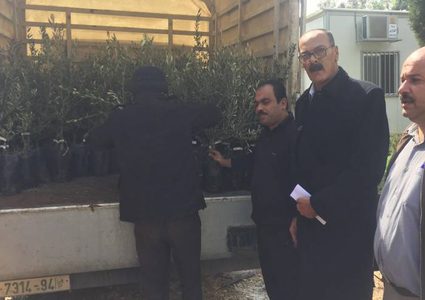 توزيع أشتال زيتون على المزارعين بالقرى المتضررة من الجدار