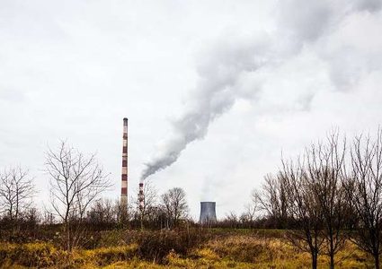 هل يسبب التلوث البيئي مجاعة على الأرض؟