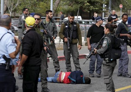 تنفيذية المنظمة تطالب بتوفير الحماية الدولية لأبناء شعبنا