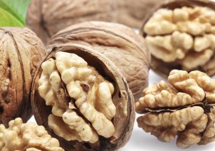 دراسة تكشف عن فيتامين فى عين الجمل يمنع نوبات الربو