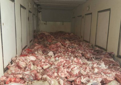 الوقائي يضبط طيور حبش مهربة من المستوطنات