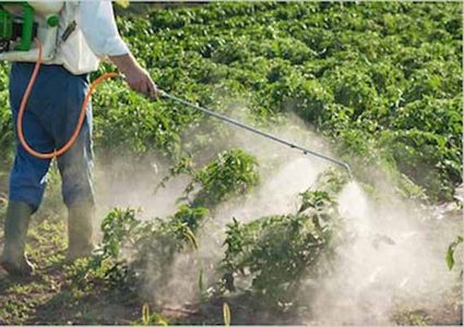 "التعليم البيئي": مبيدات الأعشاب تدق أجراس الخطر