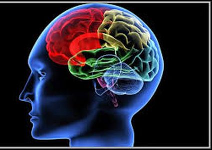 طرق طبيعية تعزز إنتاج الدوبامين في الدماغ