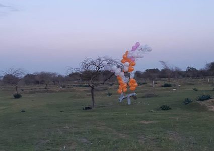 الاحتلال يزعم سقوط عدد من البالونات الحارقة قرب مستوطنة"أشكول"