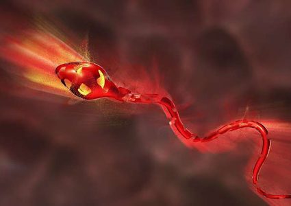 مواد منزلية تسبب عقم الرجال