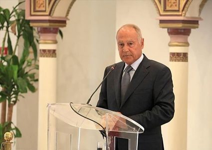 أبو الغيط: حضور سوريا قمة تونس لم يطرح رسميا