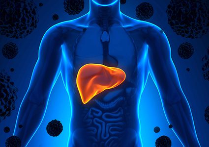دراسة: الكبد هو أول عضو في جسم الانسان ينتشر فيه السرطان