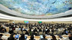 اجتماع دولي حول وضع حقوق الانسان للشعب الفلسطيني