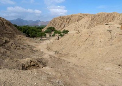 كشف غموض مقابر جماعية لمئات الأطفال والحيوانات في بيرو