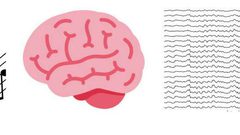 دراسة: الموسيقى تأسر المستمعين وتزامن موجات الدماغ