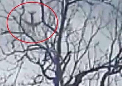 لقطات مخيفة للحظة سقوط "طائرة تكساس"