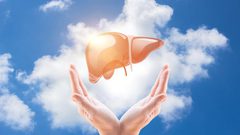 دراسة : الدم يملك مفتاح تجديد خلايا الكبد