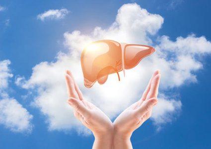 دراسة : الدم يملك مفتاح تجديد خلايا الكبد