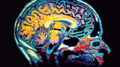 دراسة: الدماغ هو من يتحكم بسلوك ومشاعر الأهل تجاه أبنائهم