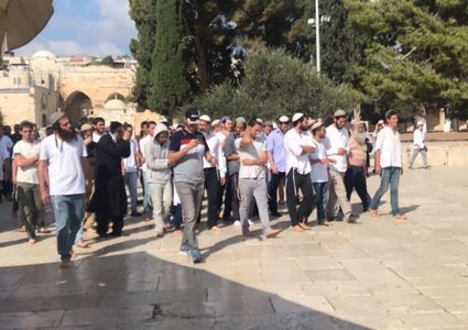 "منظمات الهيكل" تجدد دعواتها لاقتحام واسع لـلأقصى الخميس المقبل